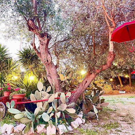 Mirella Charming Bed & Breakfast Alberobello Exterior photo