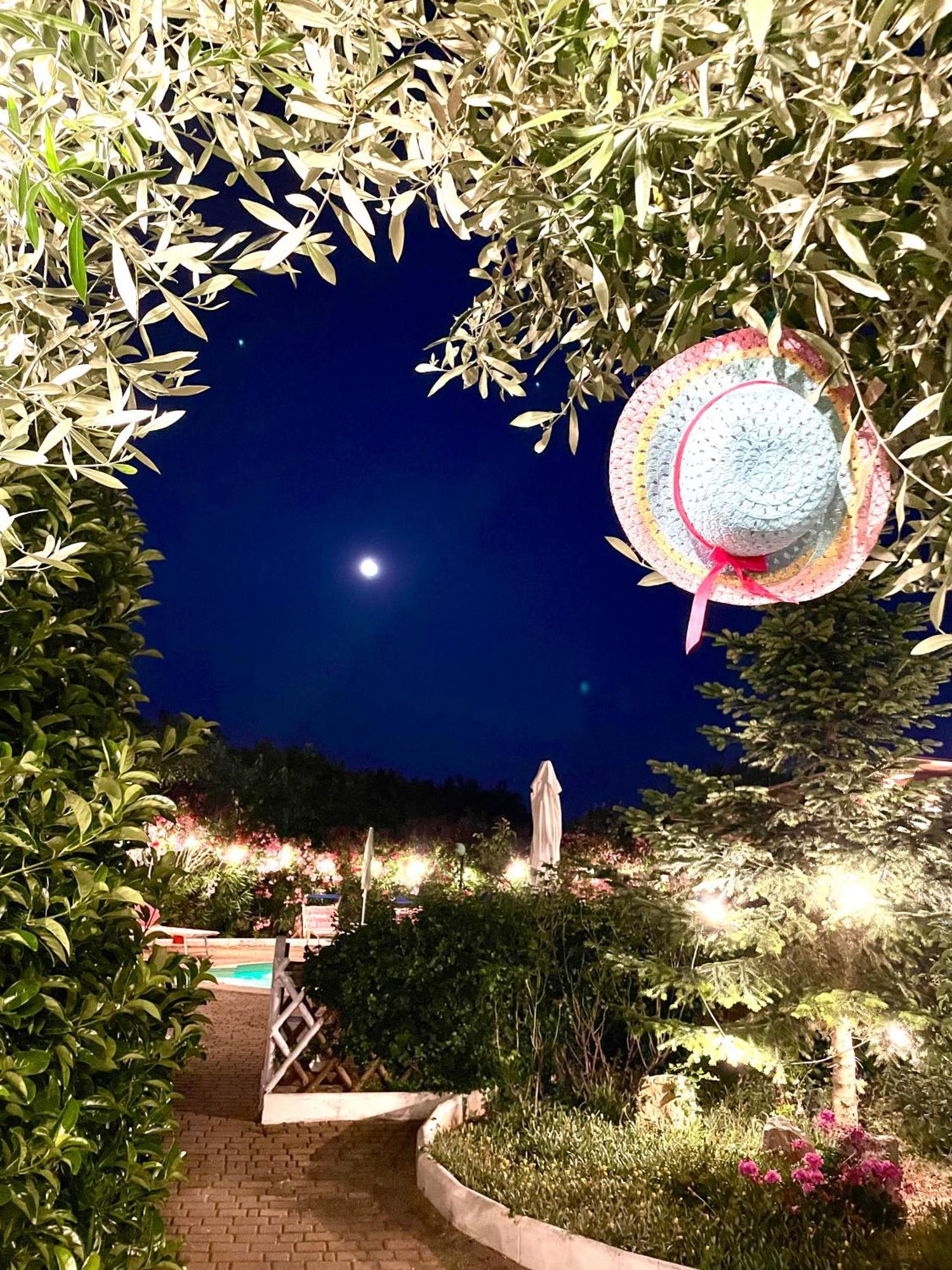 Mirella Charming Bed & Breakfast Alberobello Exterior photo