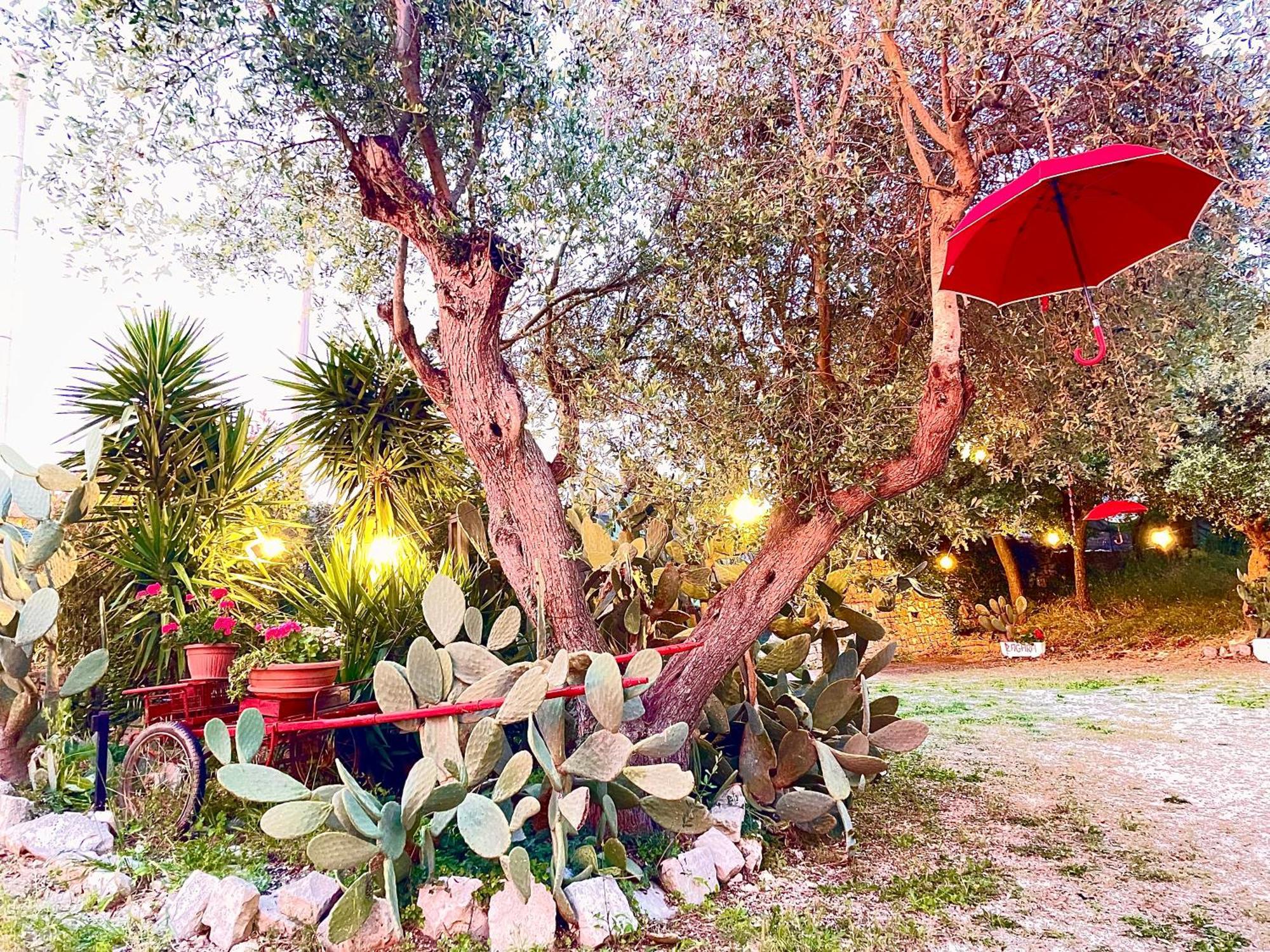 Mirella Charming Bed & Breakfast Alberobello Exterior photo
