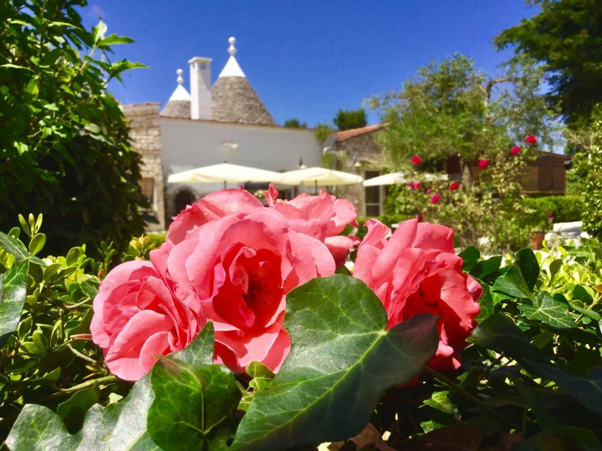 Mirella Charming Bed & Breakfast Alberobello Exterior photo
